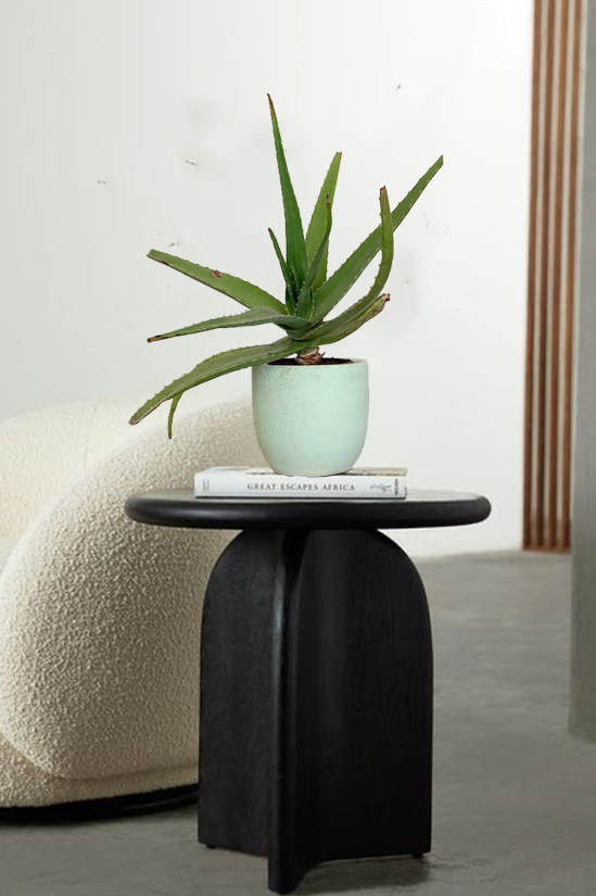 Aqua Aloe