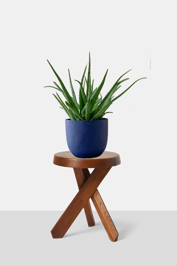 Plant mix