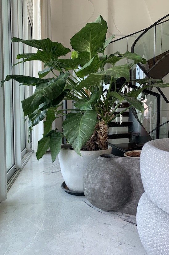 Ceramic vessel pearl grey XL