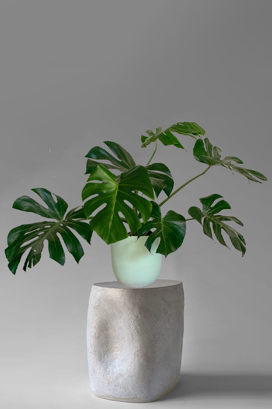Coco Mojito