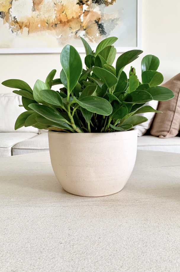 Tabletop decor