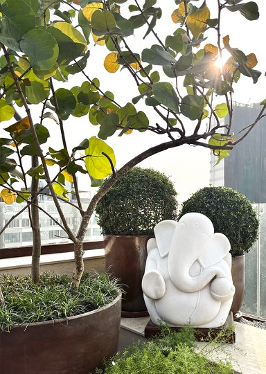 Napean Rooftop